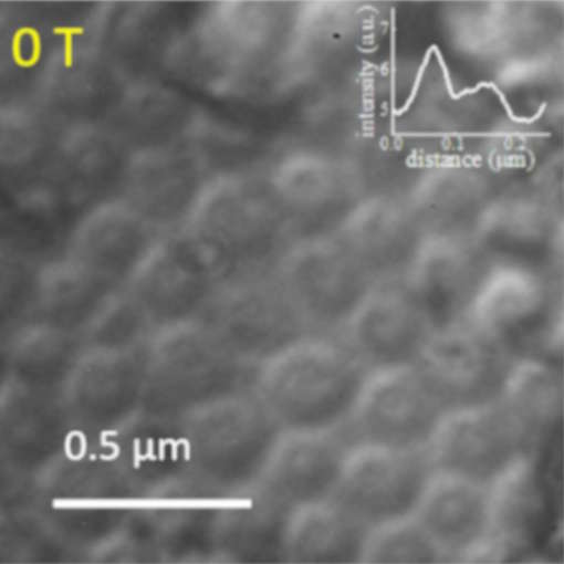 Robust skyrmions in conducting crystal attoLIQUID  attoAFM  attoRAMAN  atto3DR oder attoTMS