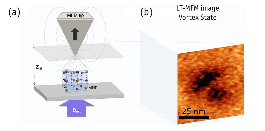 Switching the Magnetic Vortex Core in a Single Nanoparticle atomic force microscope attoAFM for MFM