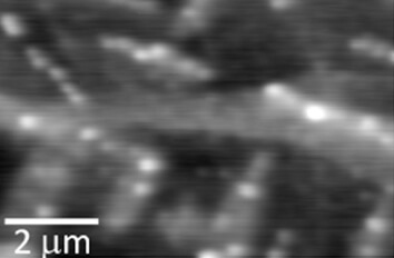 Fine scale Stripey Morphology of an Iron Pnictide   New Findings in Material Science cryogenic atomic force microscope with closed cycle cryostat