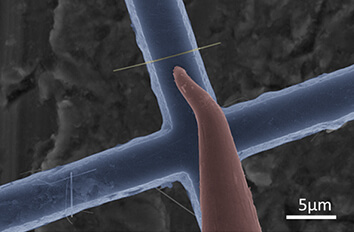Sample Nanomanipulation of 1 D Nanostructures made with Ambient or Vacuum Positioner  ECSx3030