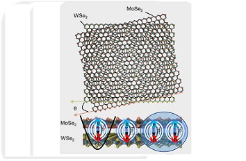 Trapping Potentials and Biexcitons in a MoSe2 WSe2 heterobilayer attoDry800  LT APO   ANSxy100lr LT